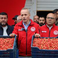 Kiraz Hasreti Bu Sene Bitiyor