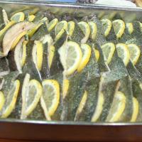 Amerikal�lar T�rk Levre�ine Hayran Kald�