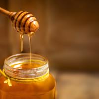 T�rk �am Bal�n� Manuka Bal�na Rakip Yapacak Proje Hayata Ge�iyor