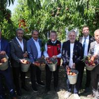 T�rkiye �eftali Ve Nektarinde 250 Milyon Dolar �hracat Hedefi Koydu
