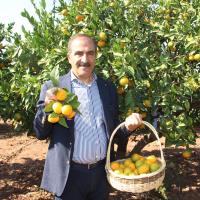 Satsuma Mandalinanın İhracat Yolculuğu 17 Ekim’de Başlıyor