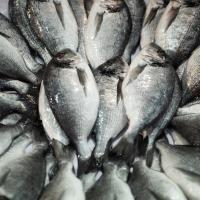 Su �r�nleri 2026 Y�l�nda 2. 5 Milyar Dolarla Yeni Rekora �mza Atacak