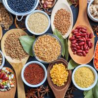 Worldfood stanbul Fuarna 25 Firmayla karma Yapacaklar