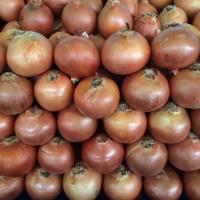 Kuru So�an �hracat� 2026 Y�l�n�n �lk �eyre�inde 15 Kat Artt�