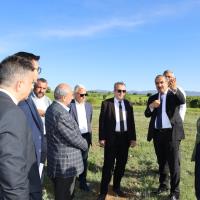 Ya Meyve Sebze Ve Meyve Sebze Mamulleri hracatna Banaz Tdiosb Dopingi