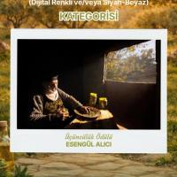 Zeytinin Eme�i, Do�as� Ve Bereketi Foto�raflarla Anlat�ld�