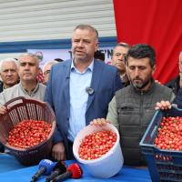 Kiraz Hasreti Bu Sene Bitiyor