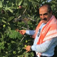 Taze ncir hracatnda Hedef 100 Milyon Dolar