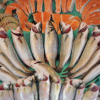 Su �r�nleri Sekt�r� �lk �eyrekte �hracat�n� Y�zde 24 Art�rd�