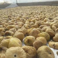 Trk Kuru ncir hracatlarndan Avrupa Birliine; Kuru ncirde Ev devimizi Yapyoruz Mesaj