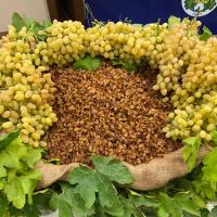 Kuru Meyve Sektörü Turqualıty, Urge Projeleri Ve Fuarlarla 3 Yıl Sonunda İhracatta 2 Milyar Doları Aşmayı Hedefliyor