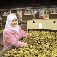 Tarm Sektrnde ifti  hracat  Birlii Trkiyeye 36 Milyar Dolar Dviz Kazandrd