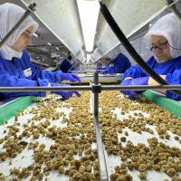 Trk Organik Sektr, inle  Birliklerini Artrmak stiyor