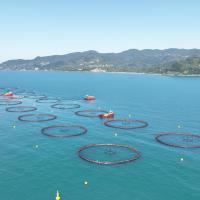 Su �r�nleri �hracat�n Yeni Y�ld�z� T�rk Somonu ��in 4 Dilde Tan�t�m Filmi Haz�rland�