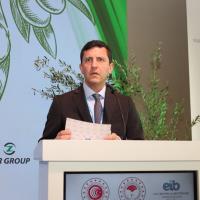 Zeytinya�� Sekt�r� Do�ru Rekolte �al��mas� Ve Ab�den Kota �stiyor