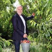 T�rkiye �eftali Ve Nektarinde 250 Milyon Dolar �hracat Hedefi Koydu