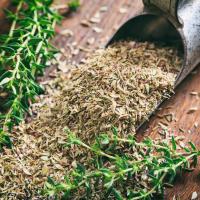 Ege Bölgesi’nin Tarım Ürünleri İhracatı 7,5 Milyar Doları Aştı