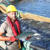 Su �r�nleri �hracat�n Yeni Y�ld�z� T�rk Somonu ��in 4 Dilde Tan�t�m Filmi Haz�rland�