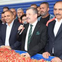 2023n lk Kiraz Hasat Edildi: Kirazda Rekorlar Krdmz Bir Yl Olacak